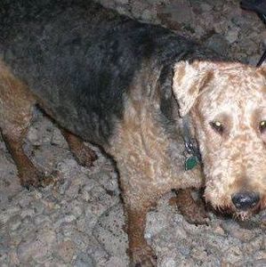 Meet your Posher, Courtenay